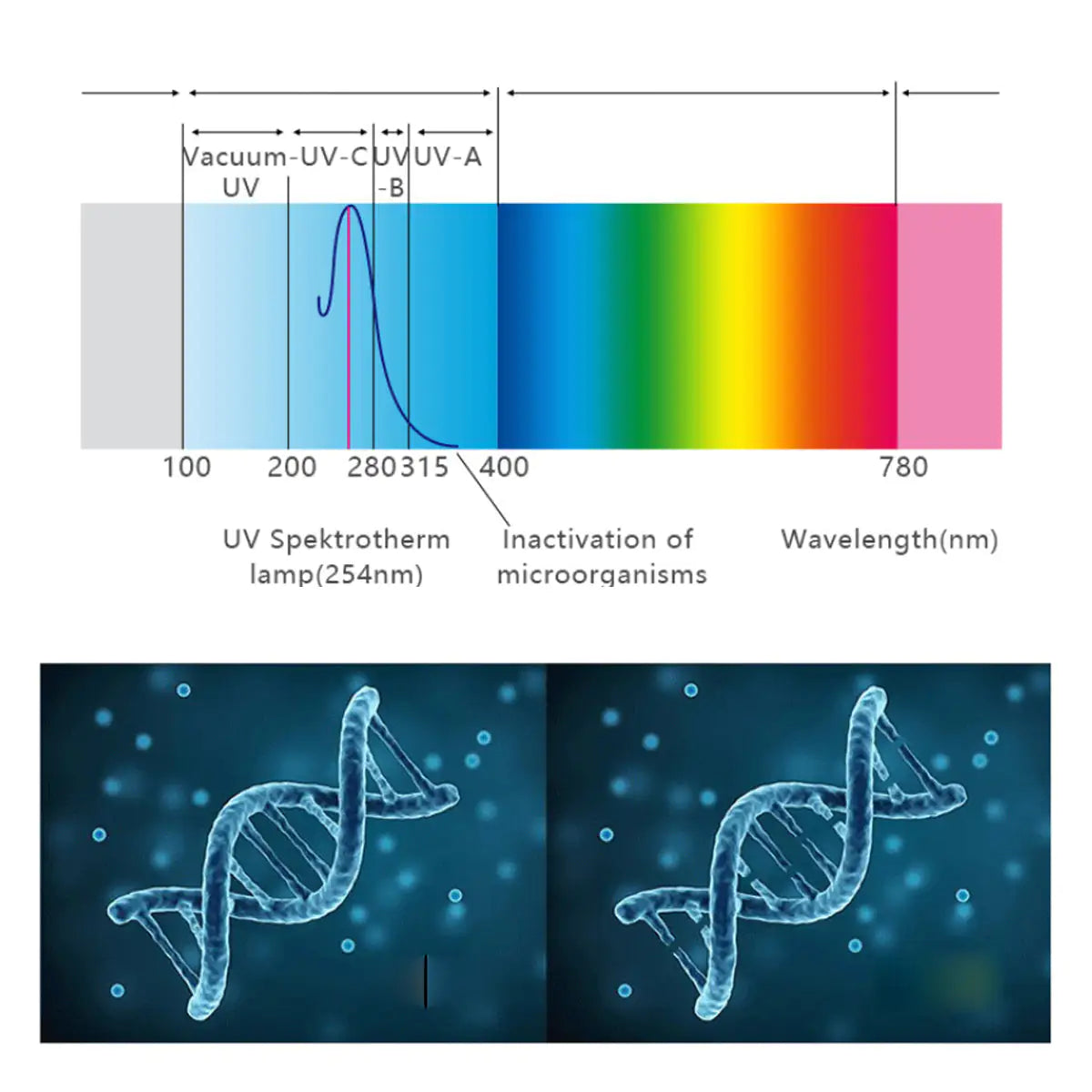 Vicinity Sterilizer UV Light Tower